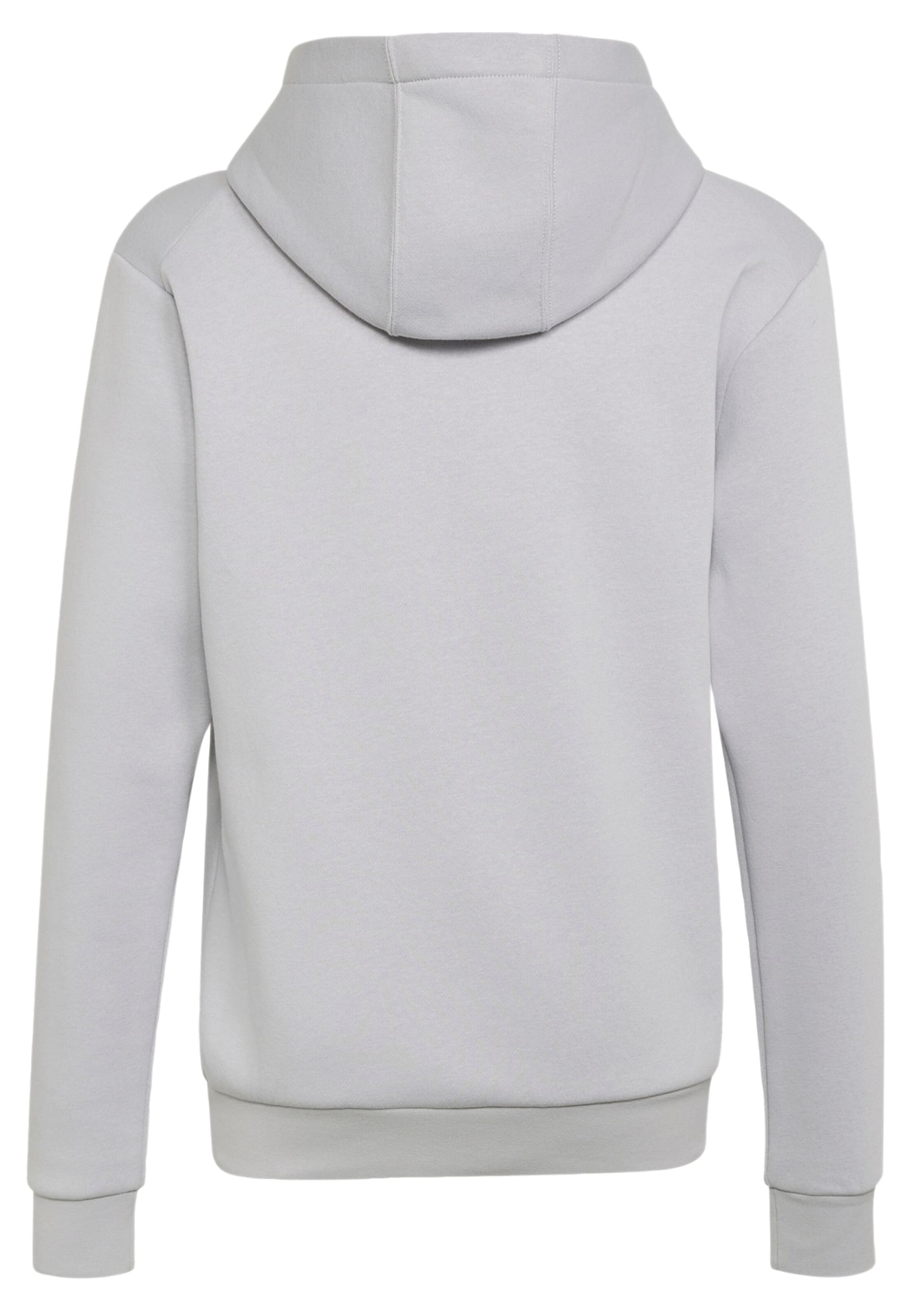 ADIDAS TERREX Sportsweatshirt 'Adidas x Minecraft' in Grau