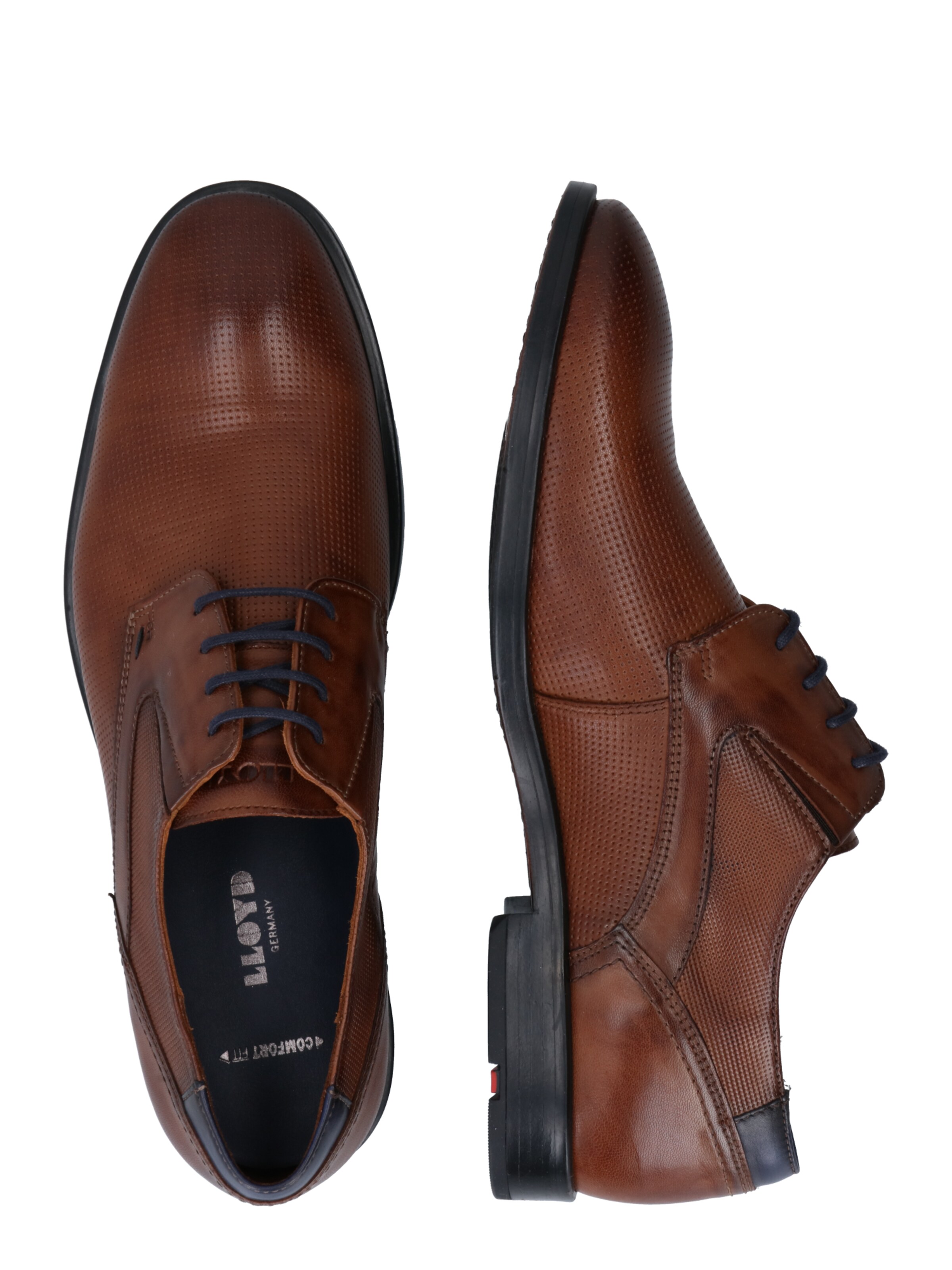 LLOYD Schnürschuh 'Kelsan' in Braun