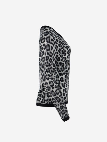 Passioni Sweater in Grey