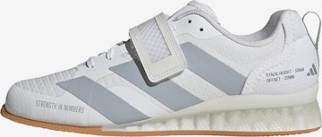 ADIDAS PERFORMANCE Sports shoe 'Adipower 3' in White: front