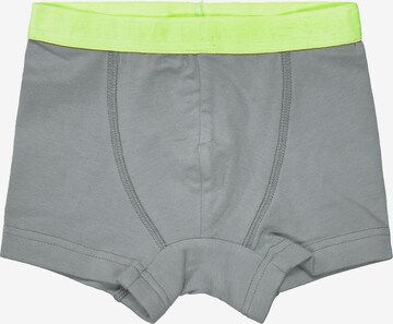 STACCATO Underpants in Grey: front