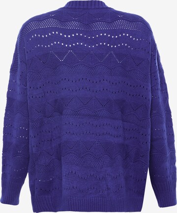 NALLY Sweater in Blue