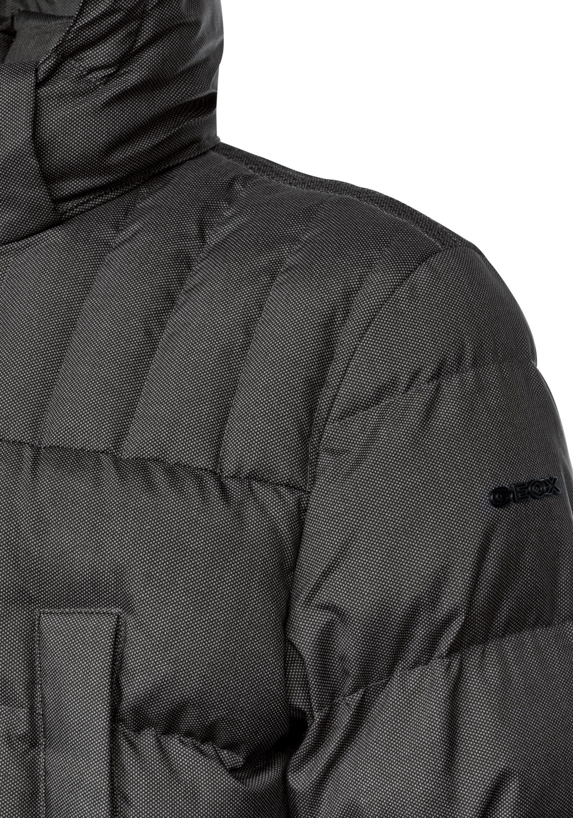 GEOX Winter Parka in Grey