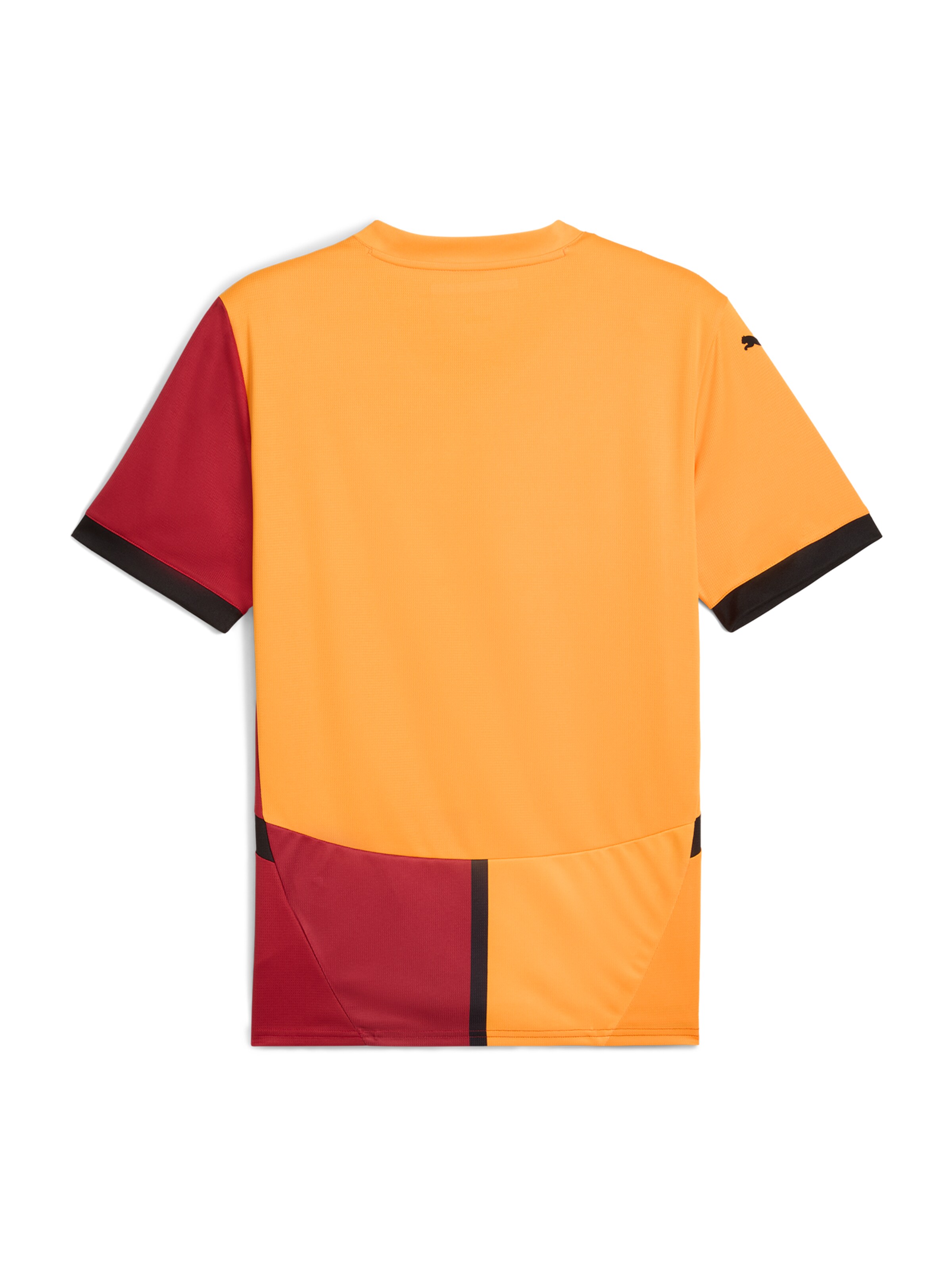 PUMA Functioneel shirt 'Galatasaray SK 24/25' in Gemengde kleuren