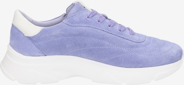 SIOUX Sneakers ' Liranka ' in Purple