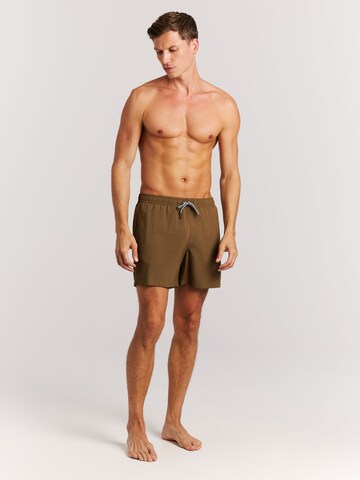 PROTEST Badeshorts 'Davey' in Braun