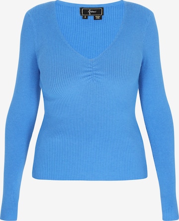 mėlyna faina Megztinis 'Comfortable': priekis