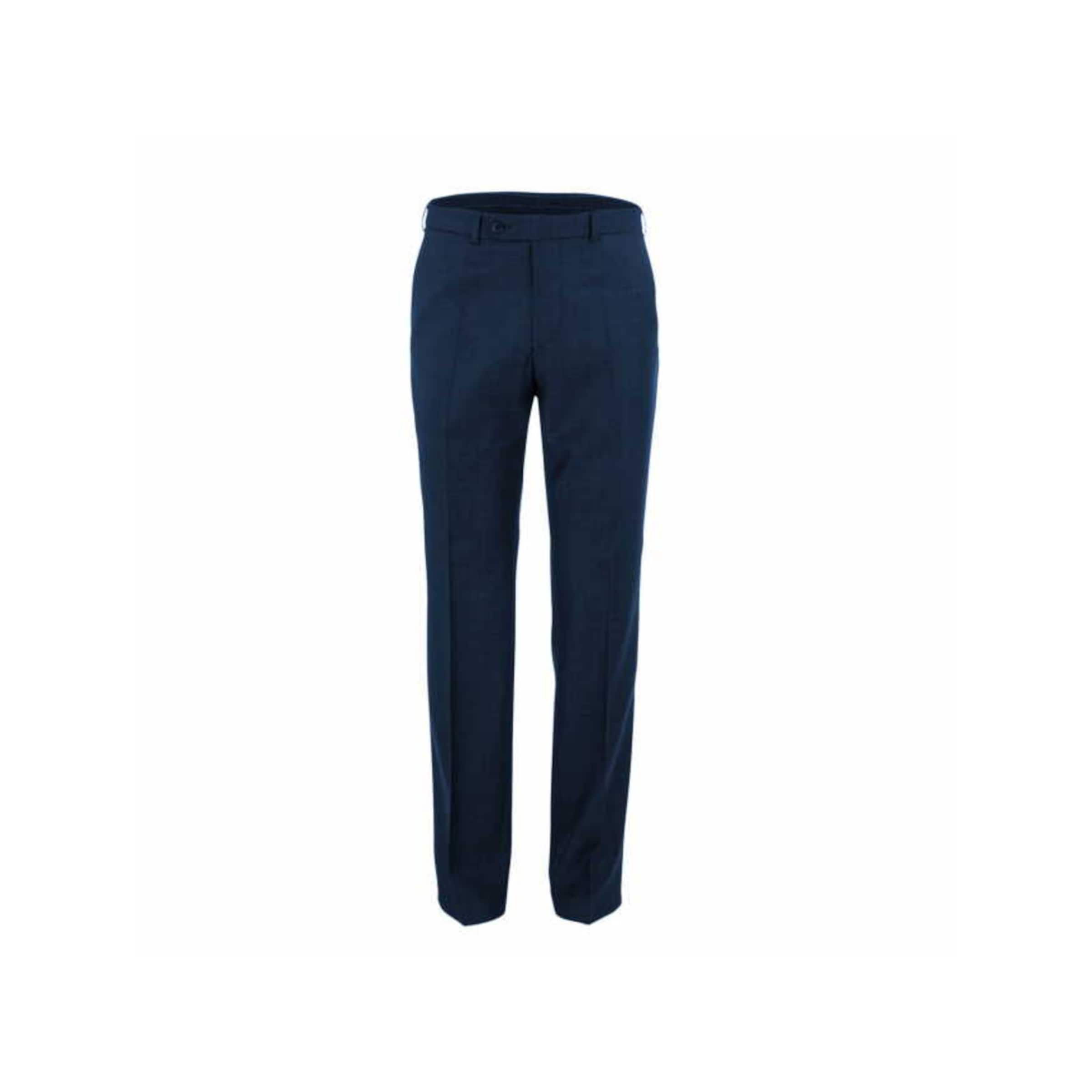 Digel Regular Pleated Pants in Blue: front