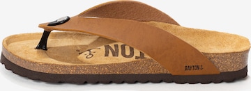 Bayton Varvastossut 'LUCCA' värissä ruskea: etupuoli