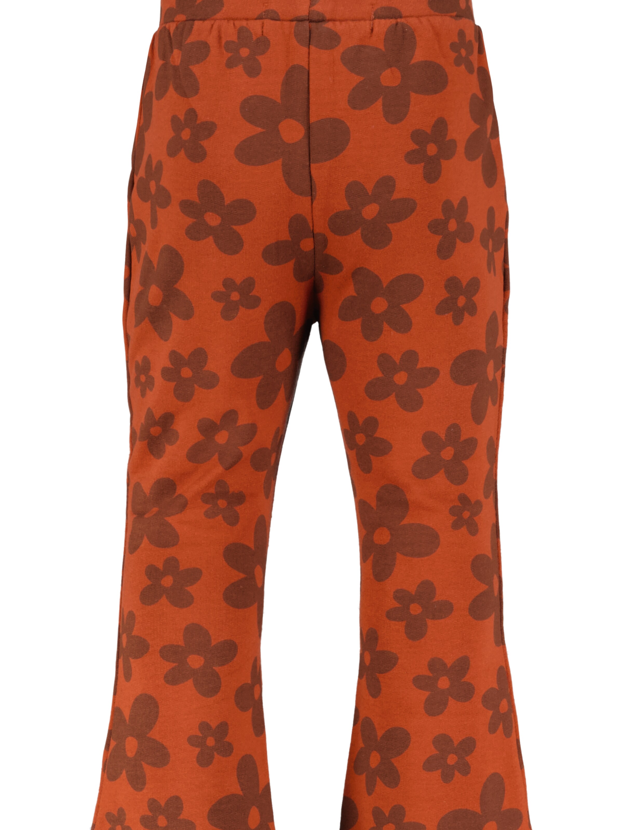 4PRESIDENT Flared Pants 'Klara' in Brown