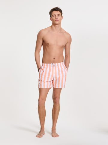 Shiwi Zwemshorts in Oranje