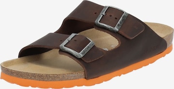 ROHDE Mules in Brown: front