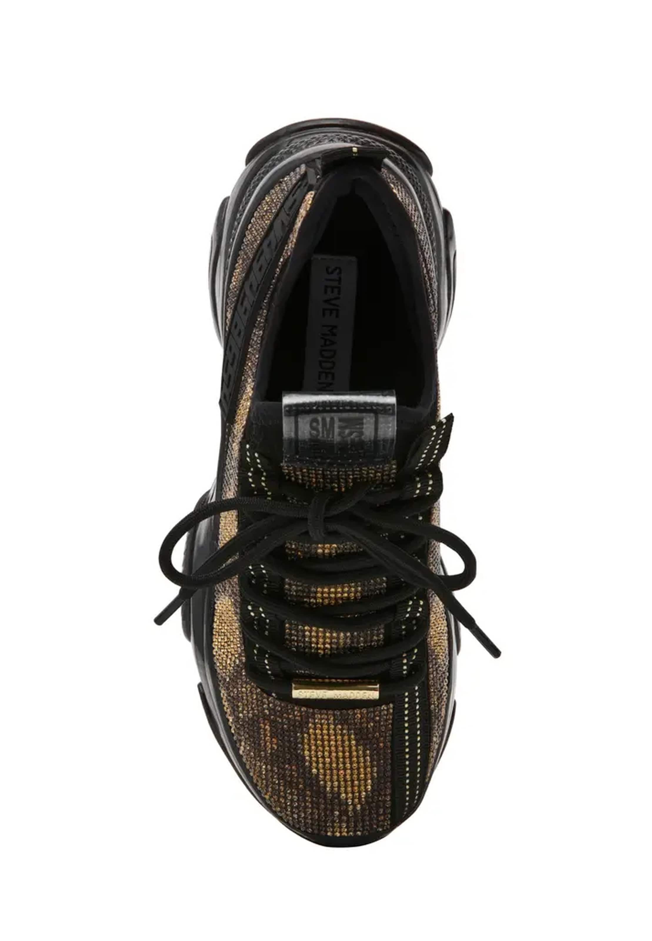Baskets basses 'Maxilla-S' STEVE MADDEN en mélange de couleurs