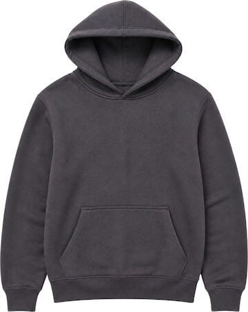 LOUIS LECLER Sweatshirt 'Hiro' in Grijs: voorkant