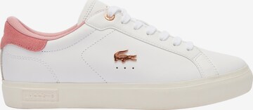 Baskets basses LACOSTE en blanc