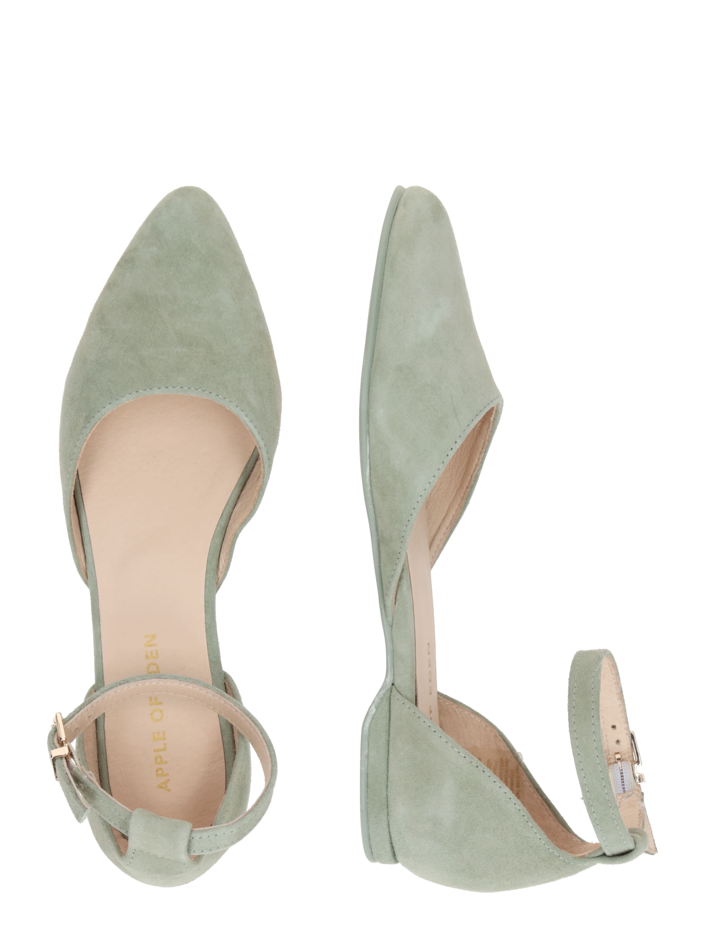 zaļš Apple of Eden Balerīnas 'Bruna'
