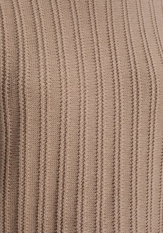 HECHTER PARIS Pullover in Braun