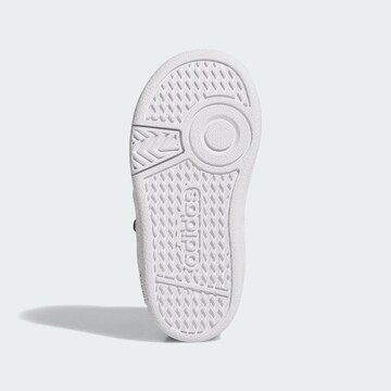 ADIDAS SPORTSWEAR Sneakers 'Hoops 4.0' in Black