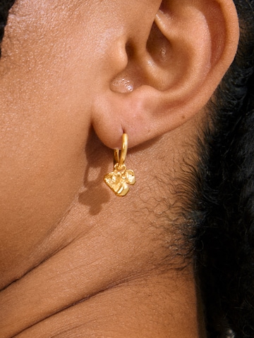 Boucles d'oreilles 'LUIS' Pilgrim en or