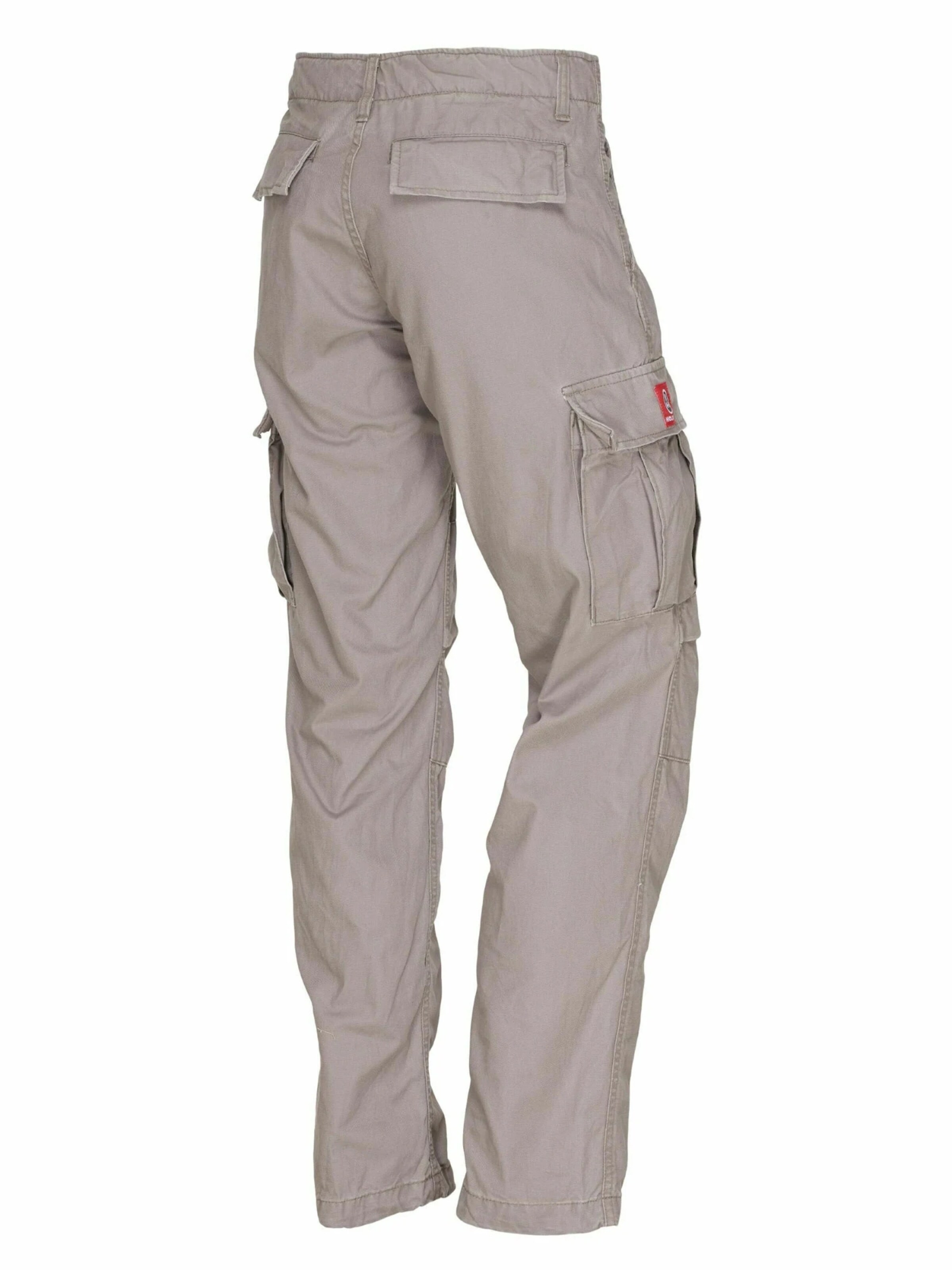 Regular Pantalon cargo 'Fitted' Molecule en gris