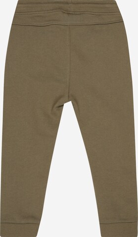 OVS Tapered Pants in Green