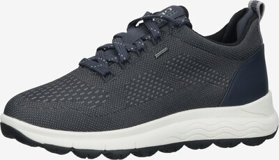 GEOX Sneaker in blau / grau, Produktansicht