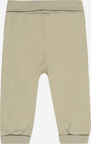 regular Pantaloni di Fixoni in verde