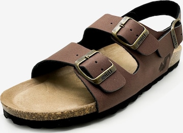 thies Sandale 'thies 1856 ® Eco Bio Backstrap Sandal' in Braun: Vorderseite