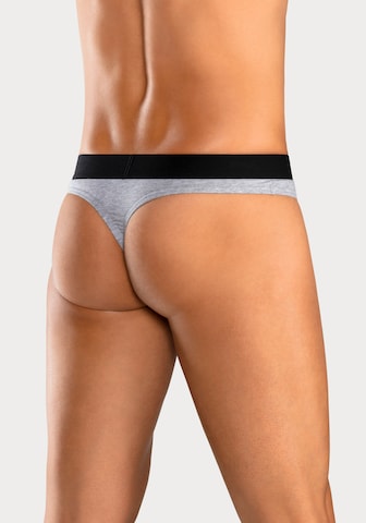 Bruno Banani LM Panty in Blue