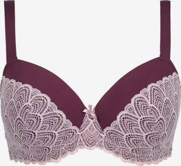 Ulla Popken Minimiser Bra in Purple: front