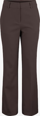 Y.A.S Flared Pleated Pants 'BLURIS' in Brown: front