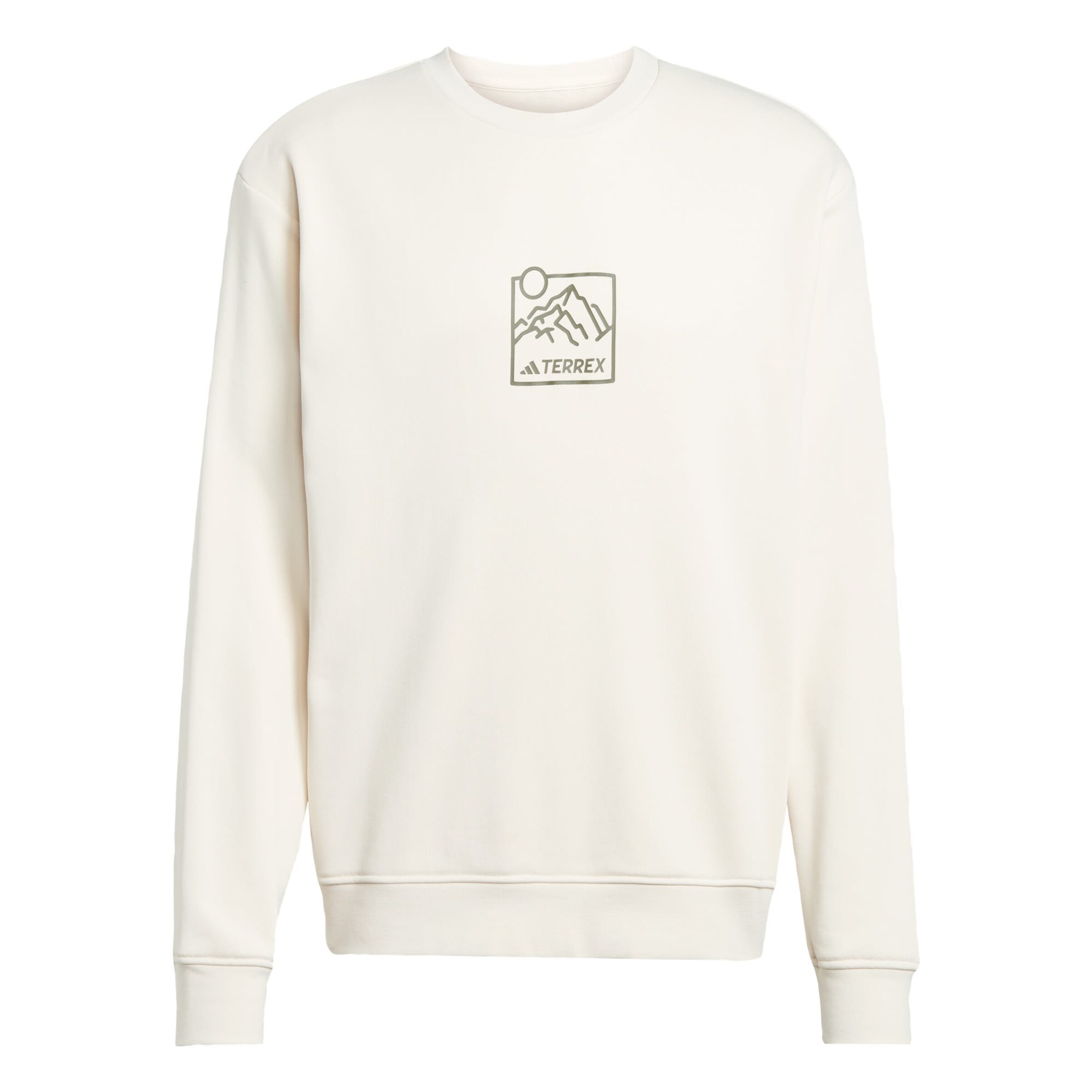 ADIDAS TERREX Athletic Sweatshirt 'Graphic Crew' in White: front