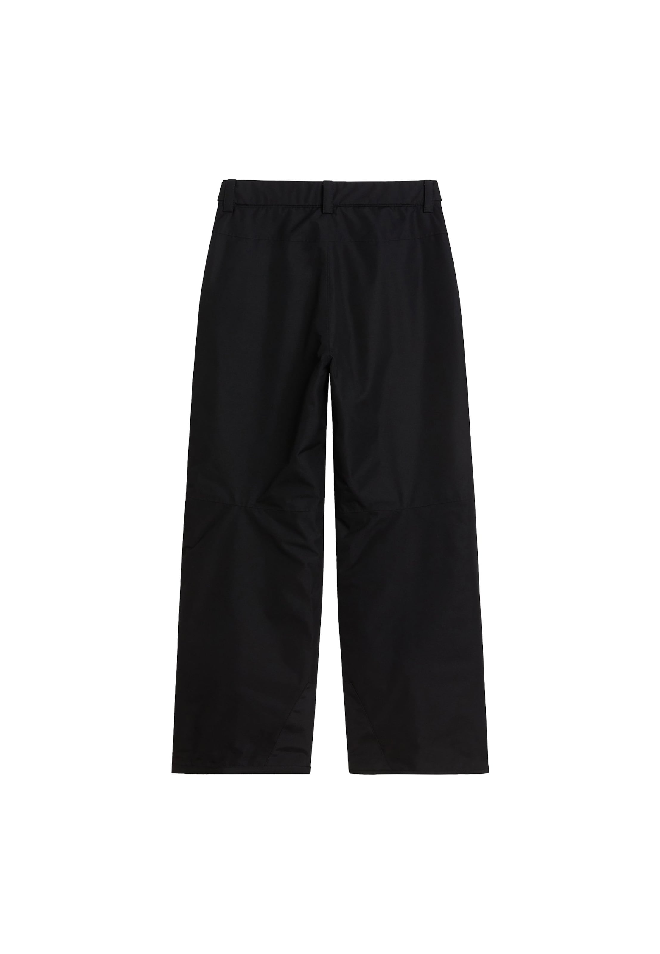 THE NORTH FACE Loosefit Outdoorhose 'FREEDOM INSULATED' in Schwarz: Rückseite