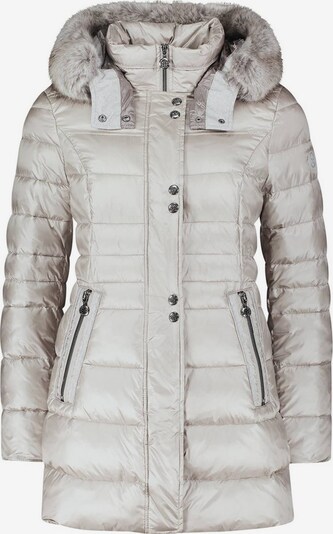 Cartoon Winterjacke in silber, Produktansicht