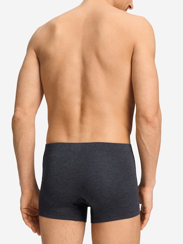 Boxers ' Casuals Daywear ' Hanro en gris