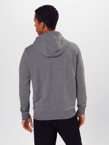 Sweat-shirt 'Drew Peak' THE NORTH FACE en gris