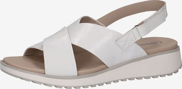 Sandales CAPRICE en blanc : devant