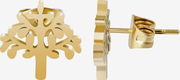 Akzent Earrings 'Marja' in Gold: front