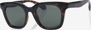 Superdry Eyewear Sonnenbrille in Braun: Vorderseite