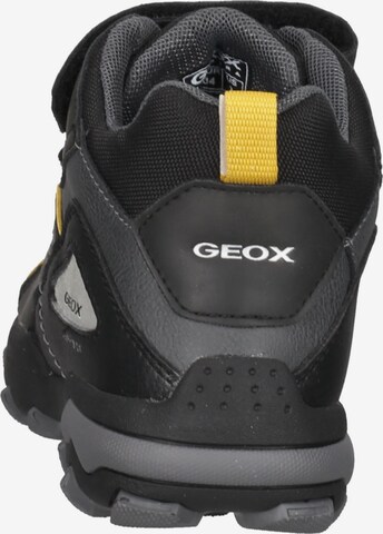 GEOX Stiefel in Schwarz