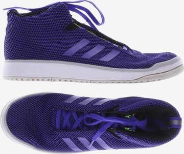 ADIDAS ORIGINALS Sneakers & Trainers in 43 in Purple: front