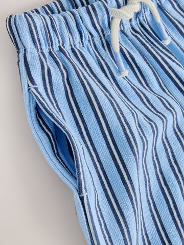 Next Wide leg Pants in Blue