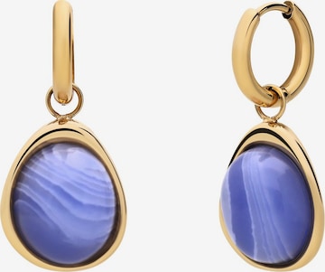 Lucardi Ohrringe in Gold: Vorderseite