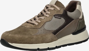 Sneaker bassa di Nero Giardini in marrone: frontale