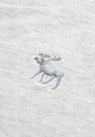 Abercrombie & Fitch - Camiseta 'ESSENTIAL' en gris