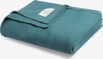 Cradle Studio Blankets 'Cosy Occasion Oversize' in Blue