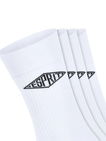 ESPRIT Socken‌‌‌‌‌‌‌ in Weiß