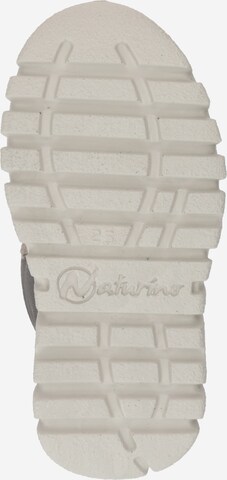 NATURINO Snowboots 'GEMINAE' in Grau