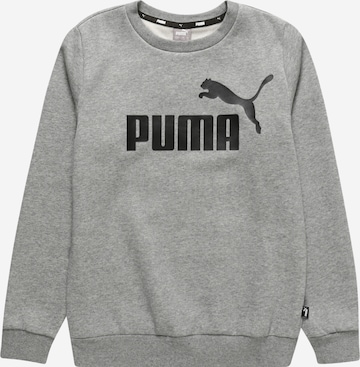 PUMA Sweatshirt in Grau: front