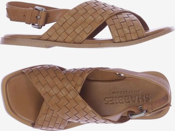 SHABBIES AMSTERDAM Sandals & High-Heeled Sandals in 36 in Brown: front